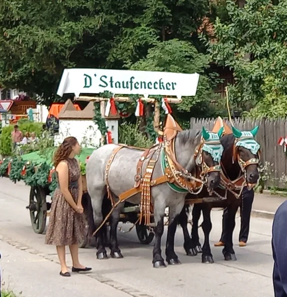 Pferdegespann des örtlichen Trachtenvereins