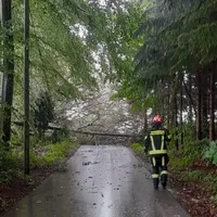 Eins_1707_4.jpg