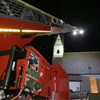 DLK1.jpg