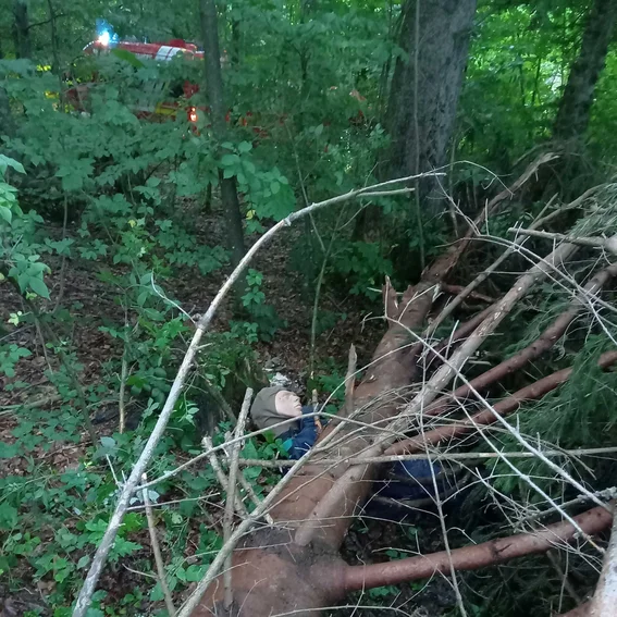 20230807_193247.jpg