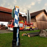 Maibaum-5.jpg